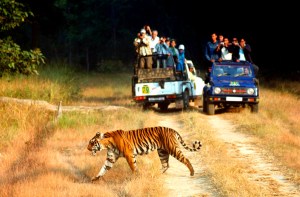 Jim Corbett National Park